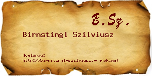 Birnstingl Szilviusz névjegykártya